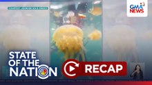 State of the Nation: (Part 2) G! sa Jellyfish Sanctuary