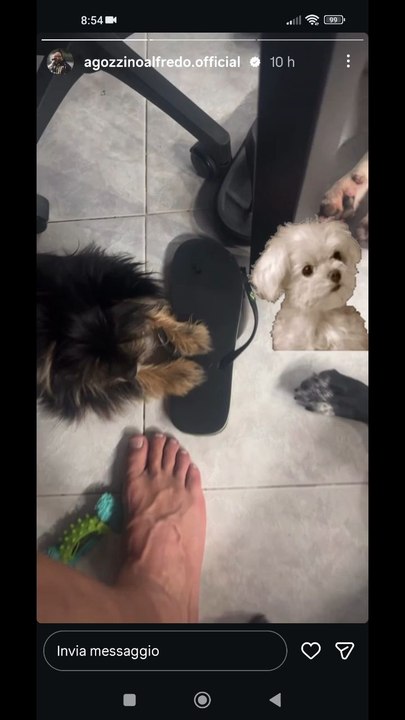 Agozzino Alfredo story la piccola zaky