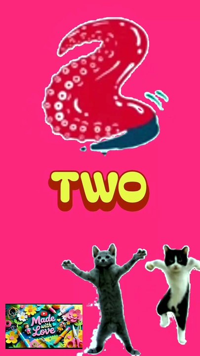 The Rhythm of Two: Funky Cat Dance & Modern Pop Art