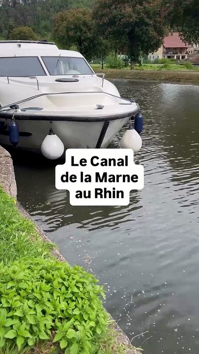 🐤 Le Canal de la Marne au Rhin entre bateaux, péniches, canards et oies. #lutzelbourg #moselle.mp4