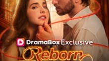 Renascer para amar Alpha King | Filme Completo em Português