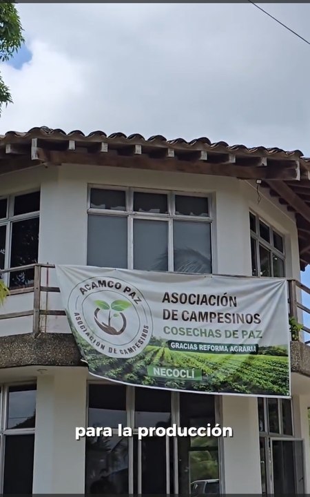 La Hacienda Virgen del Cobre, una de las entregas más emblemáticas de la Agencia Nacional de Tierras en el Urabá antioqueño, hoy es ejemplo de productividad y transformación rural.