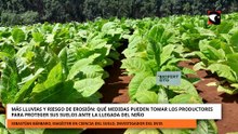 QUÉ MEDIDAS PUEDEN TOMAR LOS PRODUCTORES PARA PROTEGER SUS SUELOS ANTE LA LLEGADA DEL NIÑO