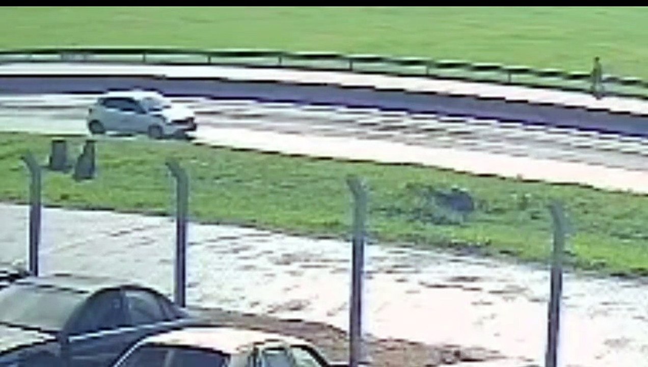 VÍDEO: Repórter chega para cobrir morte na BR-376 e reconhece o tio