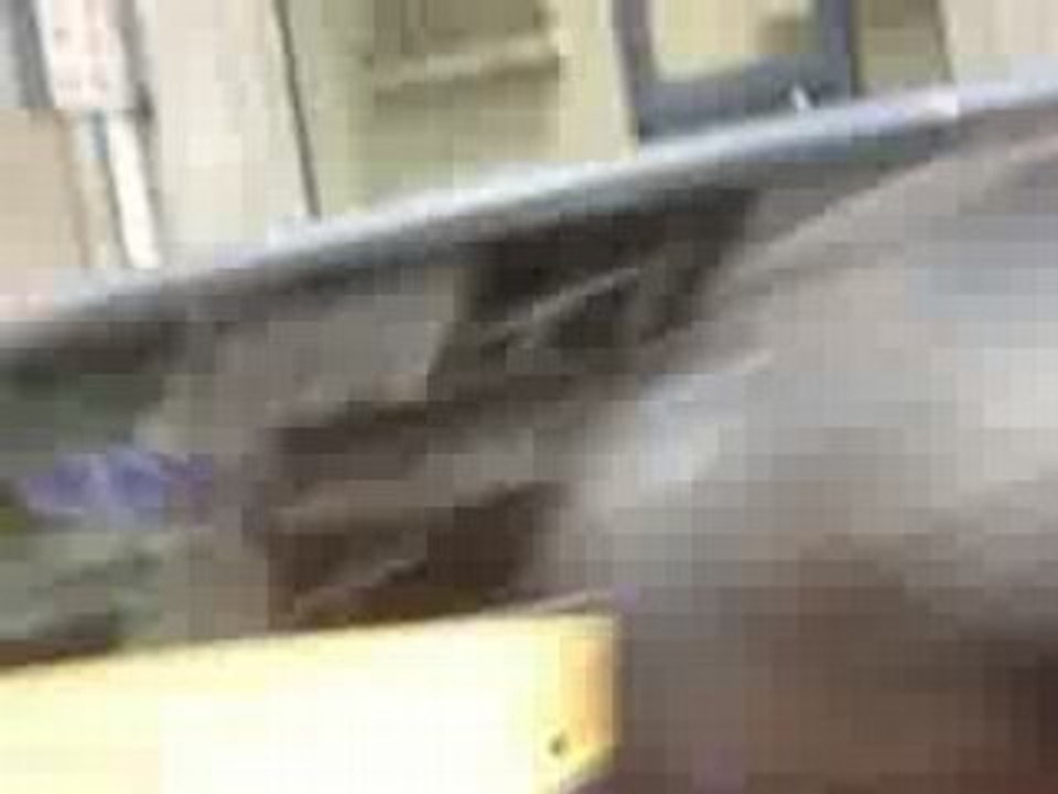 Tokio hotel à la sortie de leur Hotel à Paris, le 21.06.08