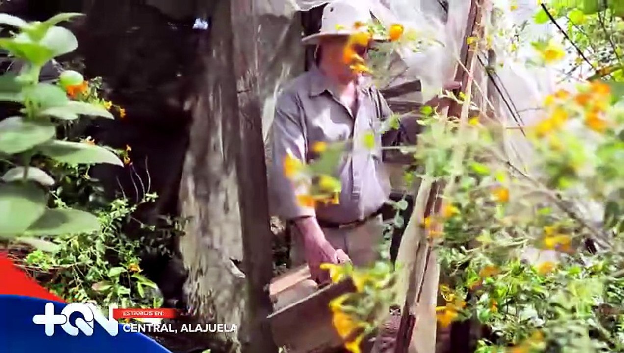mqn-el-vivero-de-don-alvaro-en-el-coyol-guarda-plantas-casi-extintas-que-el-rescato-con-sus-manos-020626 [Full Movie]
