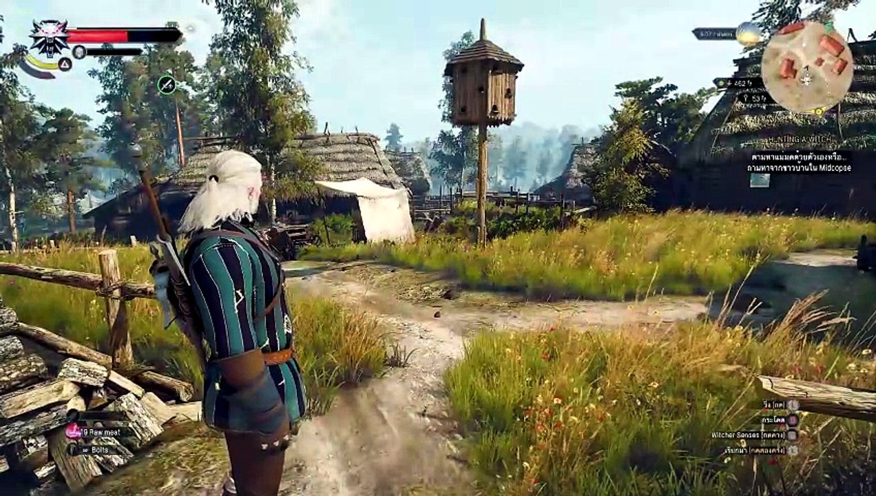 THE WITCHER 3 GAMEPLAY PART 9