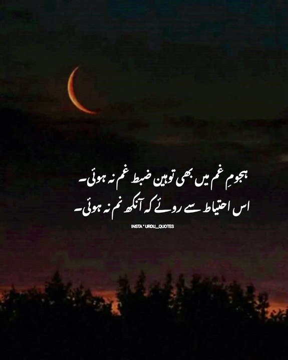 #UrduPoetry #PoetryLovers #SadPoetry #UrduQuotes #DeepWords #HeartTouching #Shayari #ViralPoetry