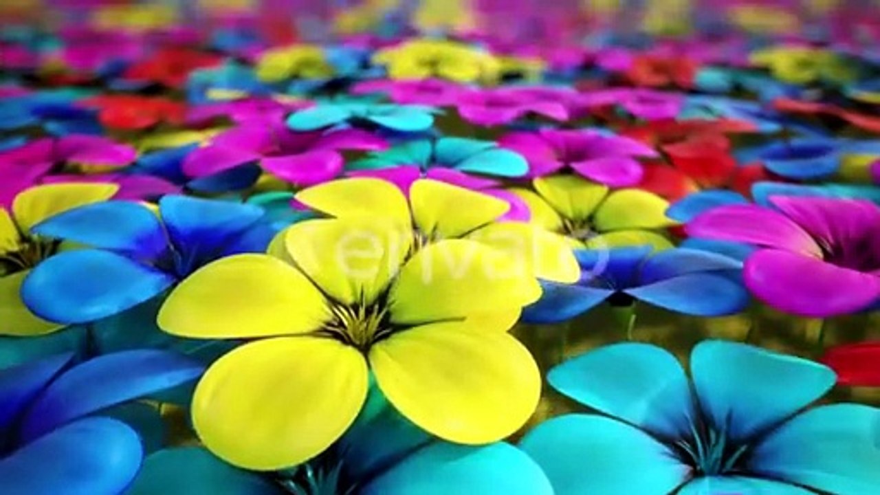 The infinite field filled with countless amount of colorful flowers. Loopable HD