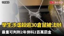 高雄1大學生涉虐殺逾30倉鼠被法辦 最重可判刑2年併科2百萬罰金