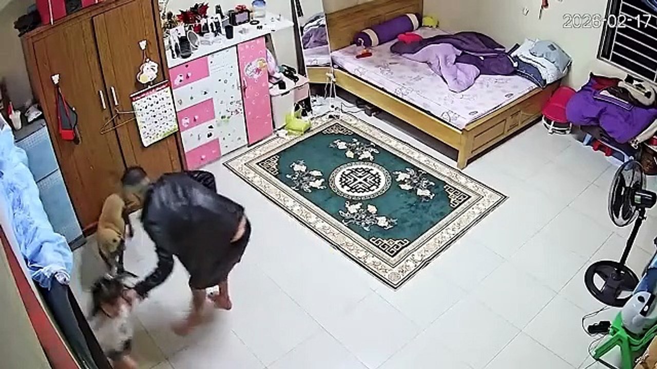 120 moments incroyables filmés par une caméra de surveillance(120 Incredible Moments Caught on CCTV Camera)