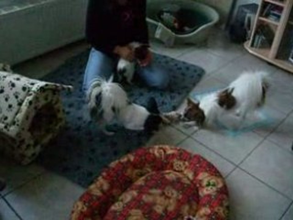 Angie et Shanna,toutes ensembles puis Dolly se sauve