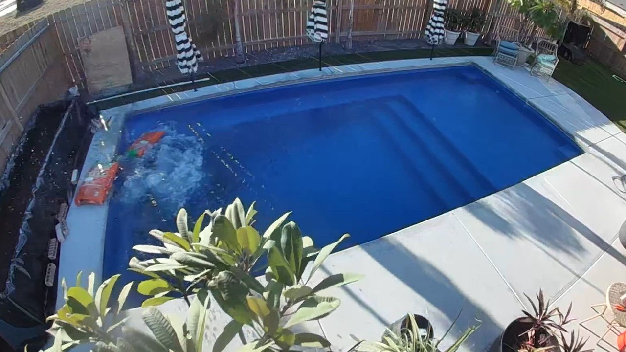 Backyard BBQ Blunders