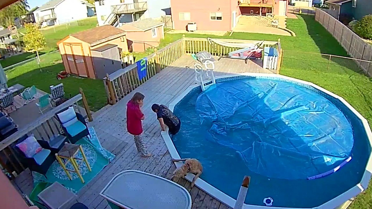 Suns Out, Fails Out