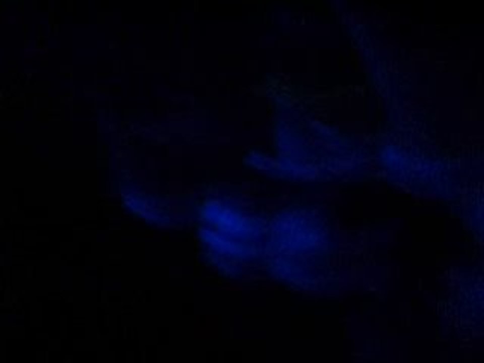 Pearl Jam London Long Road