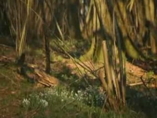 no-man - WHEREVER THERE IS LIGHT