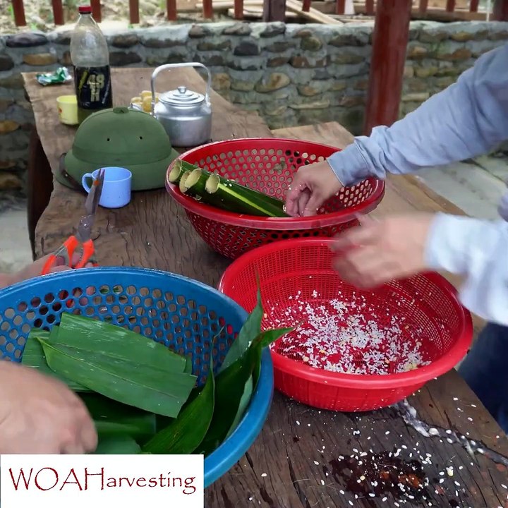 Working to Earn & Building a Pumpkin Trellis Over Fish Pond | Rural Homestead Life
