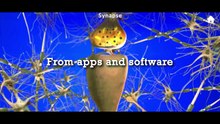 SAEID TV
