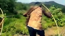 Em busca da comida