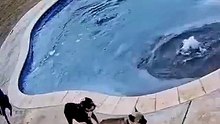 She Didn’t Hesitate for a Second… She Saved Her Best Friend