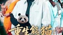 重生熊猫：开局太极拳震惊全球 (上)
