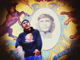 Zephir - Que des winners