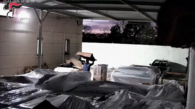 Foggia, ricettazione e riciclaggio pezzi ricambio auto rubate: 8 arresti