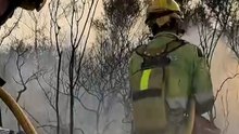 El calor dispara el riesgo de incendios en casi toda la Comunidad Valenciana