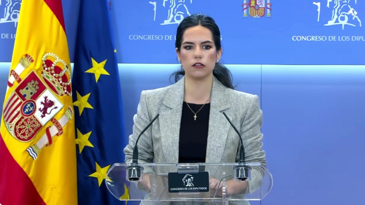 Pepa Millán:  "Ábalos, Koldo y Aldama formaban parte de una organización criminal"