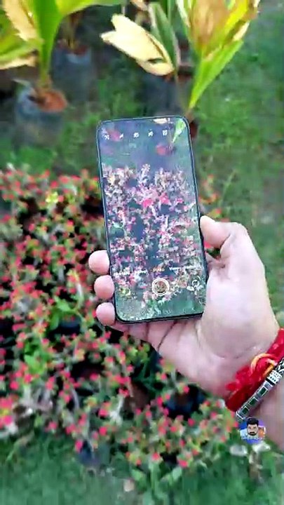 Vivo X300 Pro 485mm 10x Zoom Test