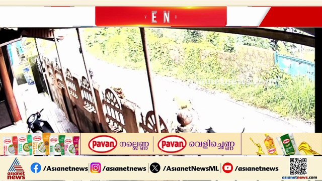 വിദ്യാർത്ഥിനിക്ക് പിന്നാലെ ഓടി തെരുവുനായക്കൂട്ടം; കടിയേൽക്കാതെ രക്ഷപെട്ടത് തലനാരിഴക്ക്