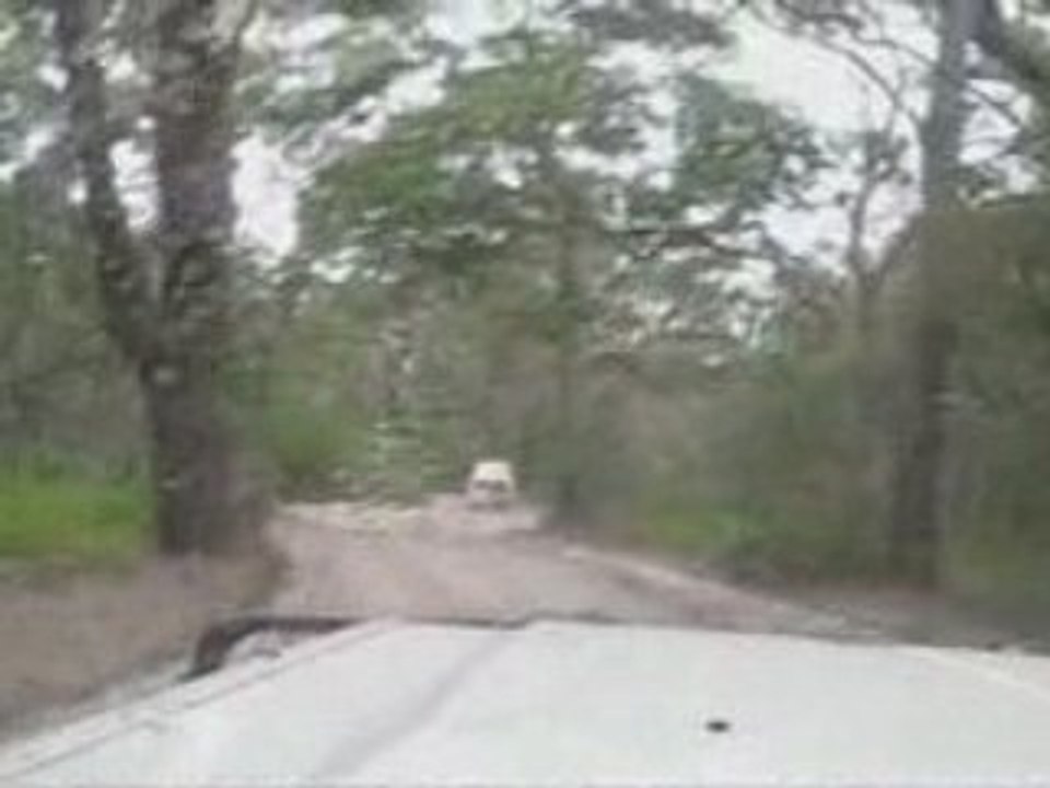 Fraser Island session 4x4