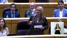 Marlaska, acorralado en el Senado: "¿Cuándo piensa usted dejar de mentir a los españoles?"