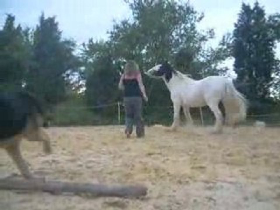 Kaiser foufou