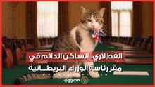 من هو القط "لاري" الذي استمر أكثر من رؤساء وزراء بريطانيا؟