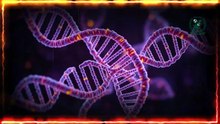 Scientists Create Human Embryos from Skin DNA _ Two-Dad Babies & Playing God Debate