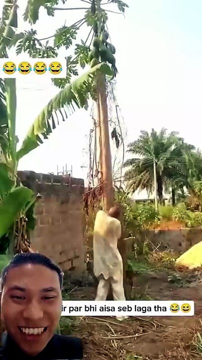 1000023381