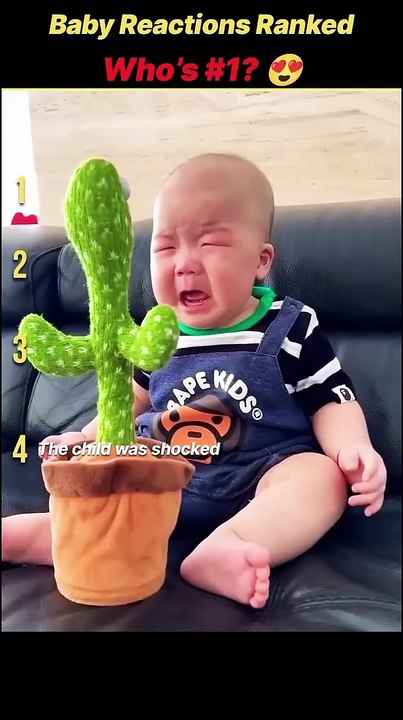 1000023374
