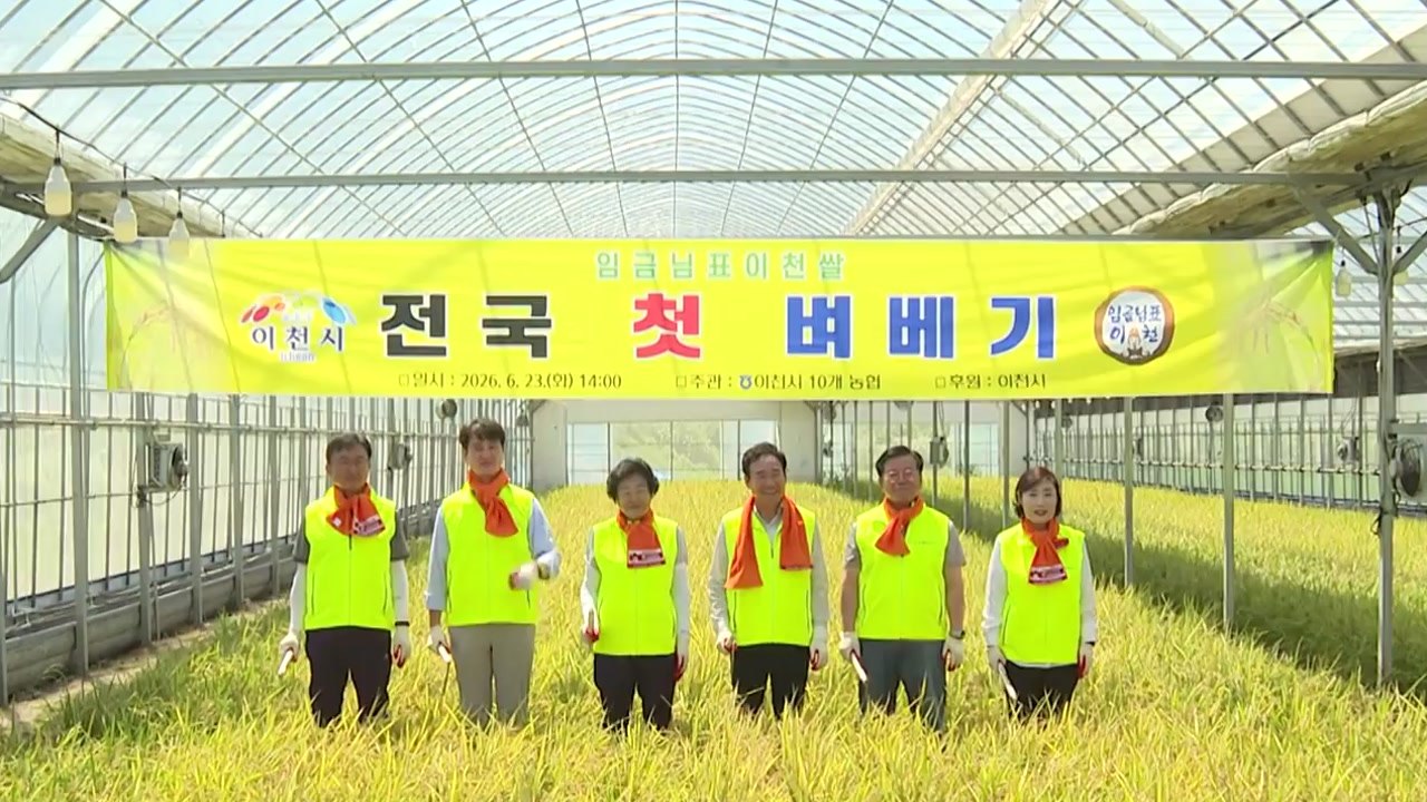 [경기] 전국 최초 햅쌀 수확...이천시 '벼 베기' 행사 개최 / YTN