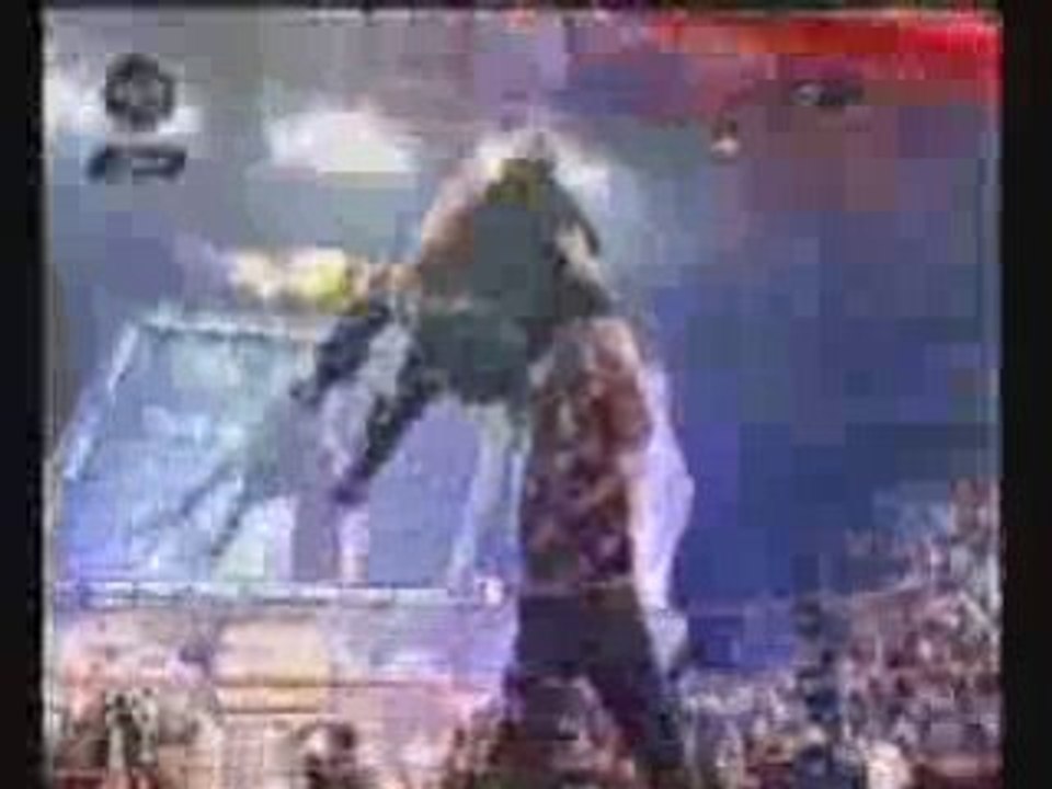 Wwe finisher