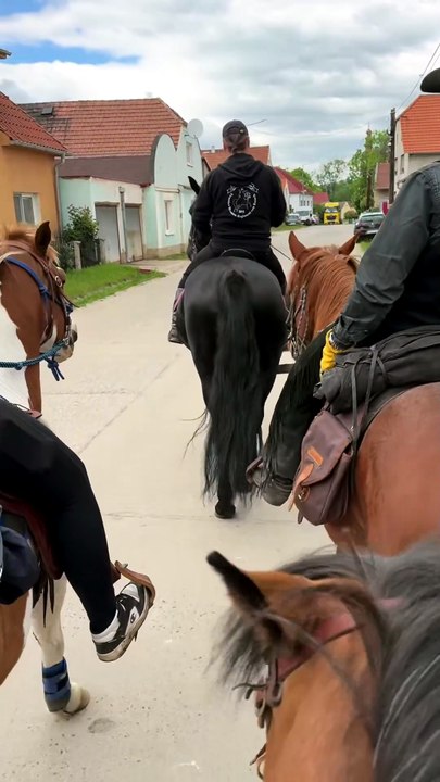 Un cheval tchèque donne un spectacle inattendu avec son balancier naturel