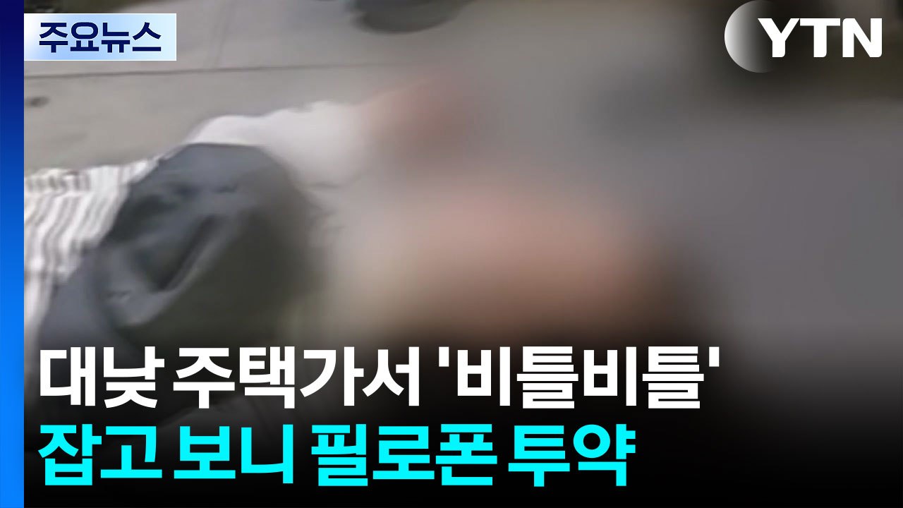 대낮 주택가서 '비틀비틀'...잡고 보니 필로폰 투약 / YTN