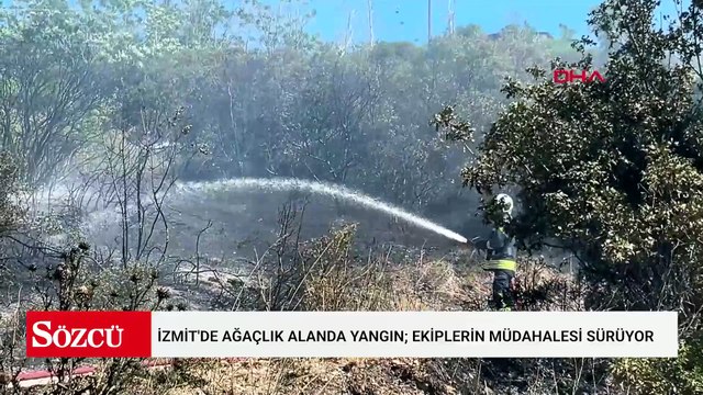 İzmit'de ağaçlık alanda yangın; ekiplerin müdahalesi sürüyor