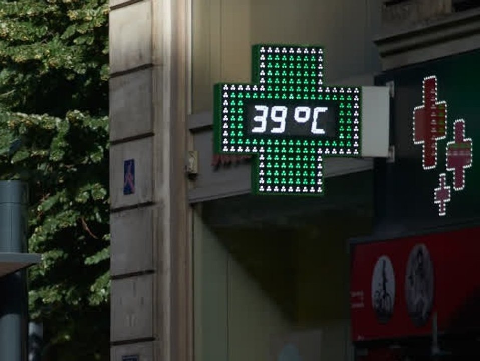 Hitzewelle überrollt Europa - Temperaturen steigen auf über 40 Grad