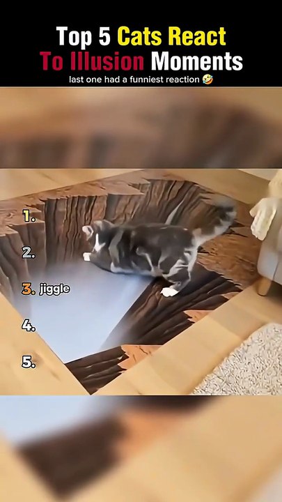 Top 5 Cats React to Illusion Moments😵‍💫_3