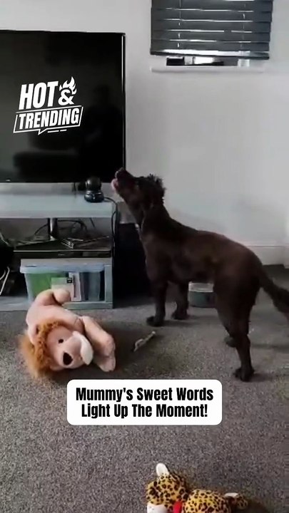 Dog's Heartfelt Howl Inspired by Mum's Loving Words
