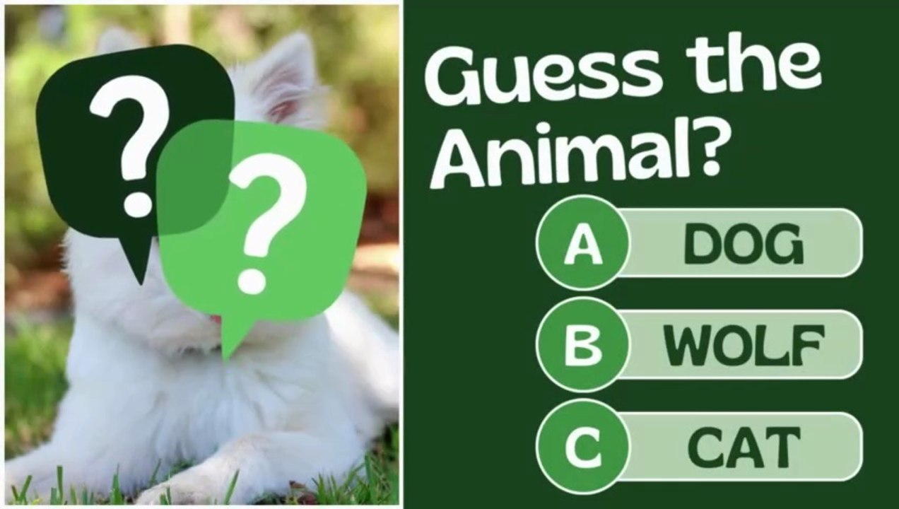 Guess the Animal by Hidden Face 🐾 | Fun Animal Quiz Challenge | Can You Guess It?