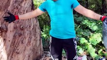 Il a quitté son job pour nettoyer l’Algérie 🌍♻️