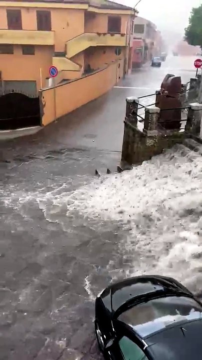 Ittiri, dopo l'afa arriva il nubifragio: alberi crollati e strada chiusa