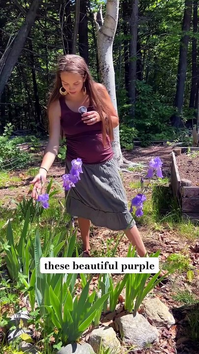 come back in a month to see all the changes! this is what my garden looks like in June but it’s